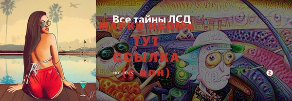 спайс Беломорск