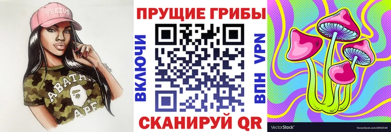 что такое   Кстово  Галлюциногенные грибы мицелий 